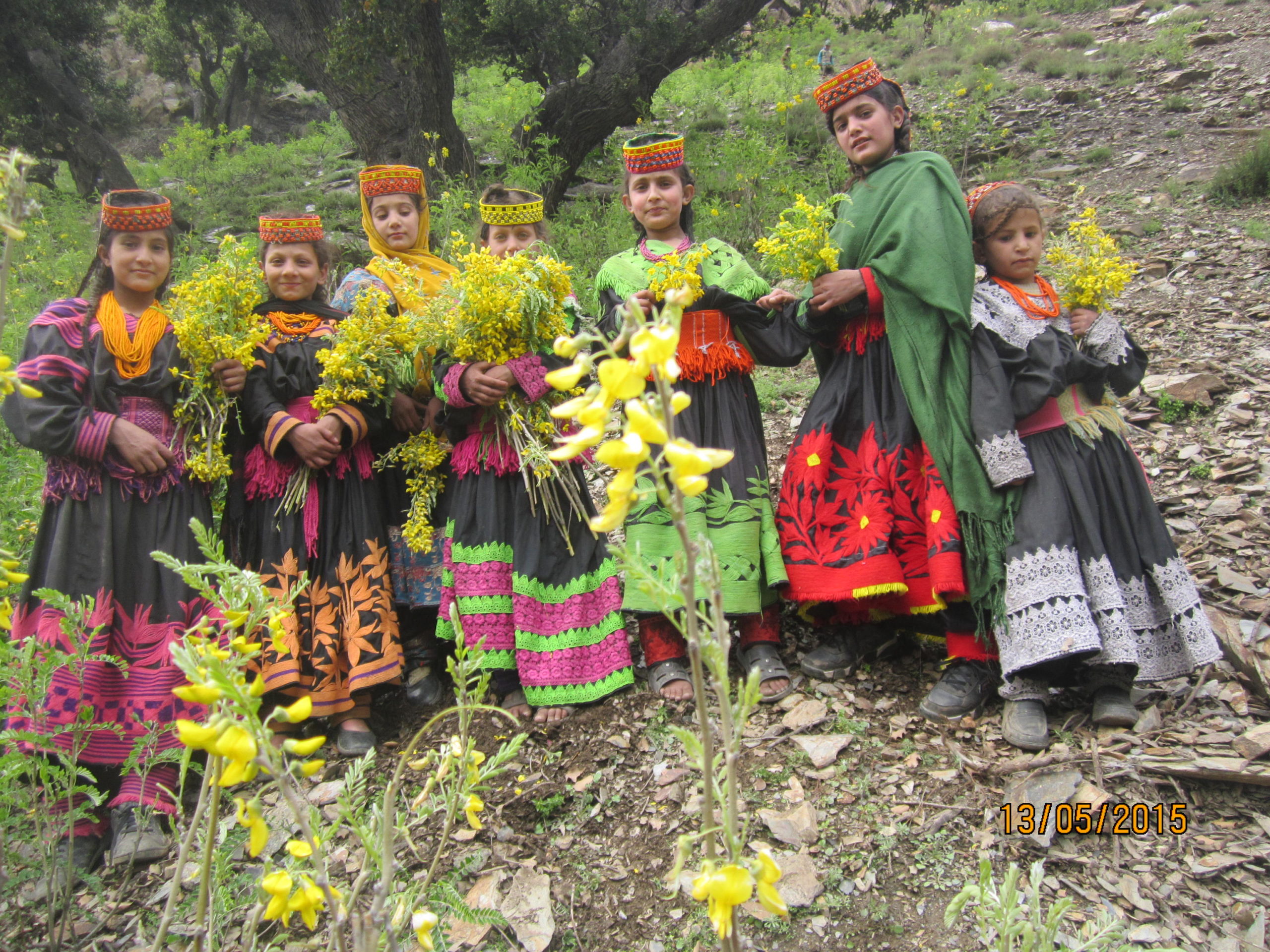 Documentary Linguistics and its Role in the Revival of Endangered Languages and Dialects