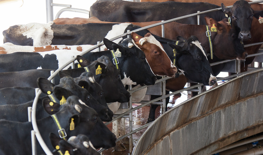 Προχωρημένο Πρόγραμμα Εκπαίδευσης Βοοτρόφων: 3ο Μάθημα