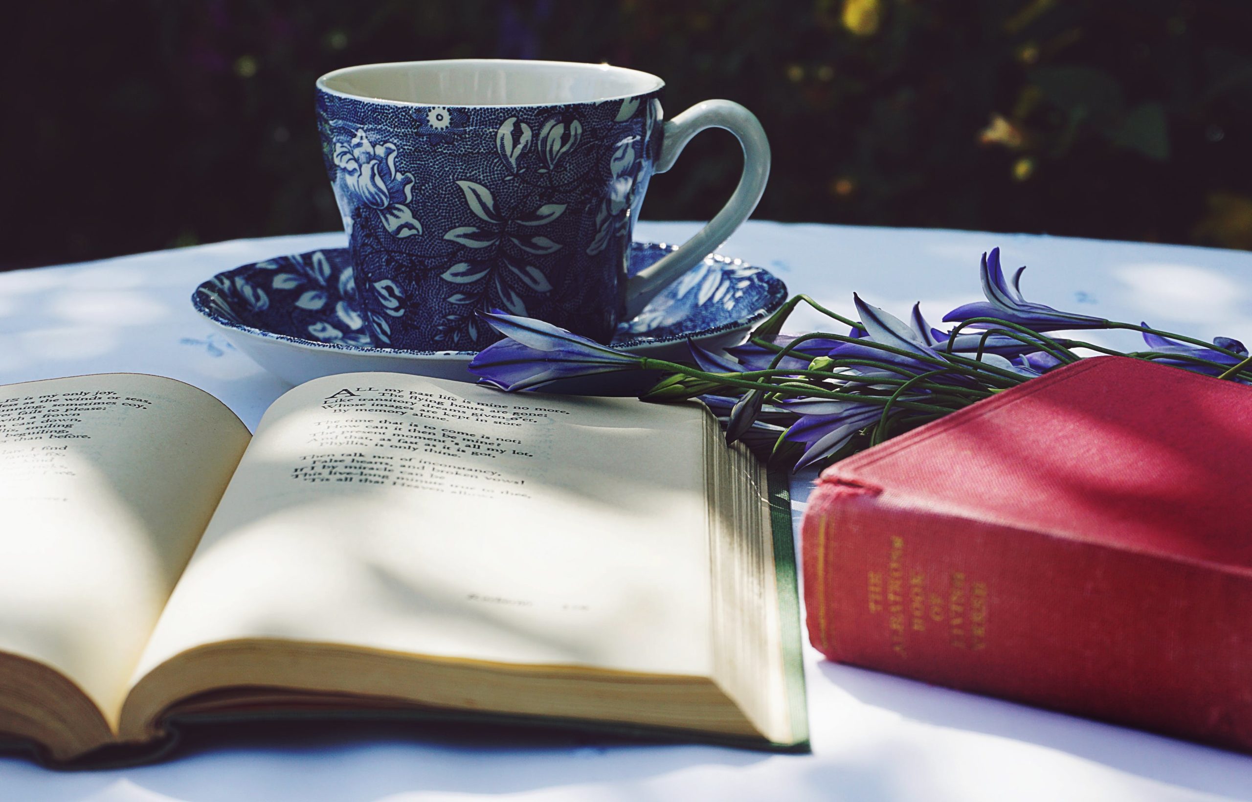 Adults' Reading Club