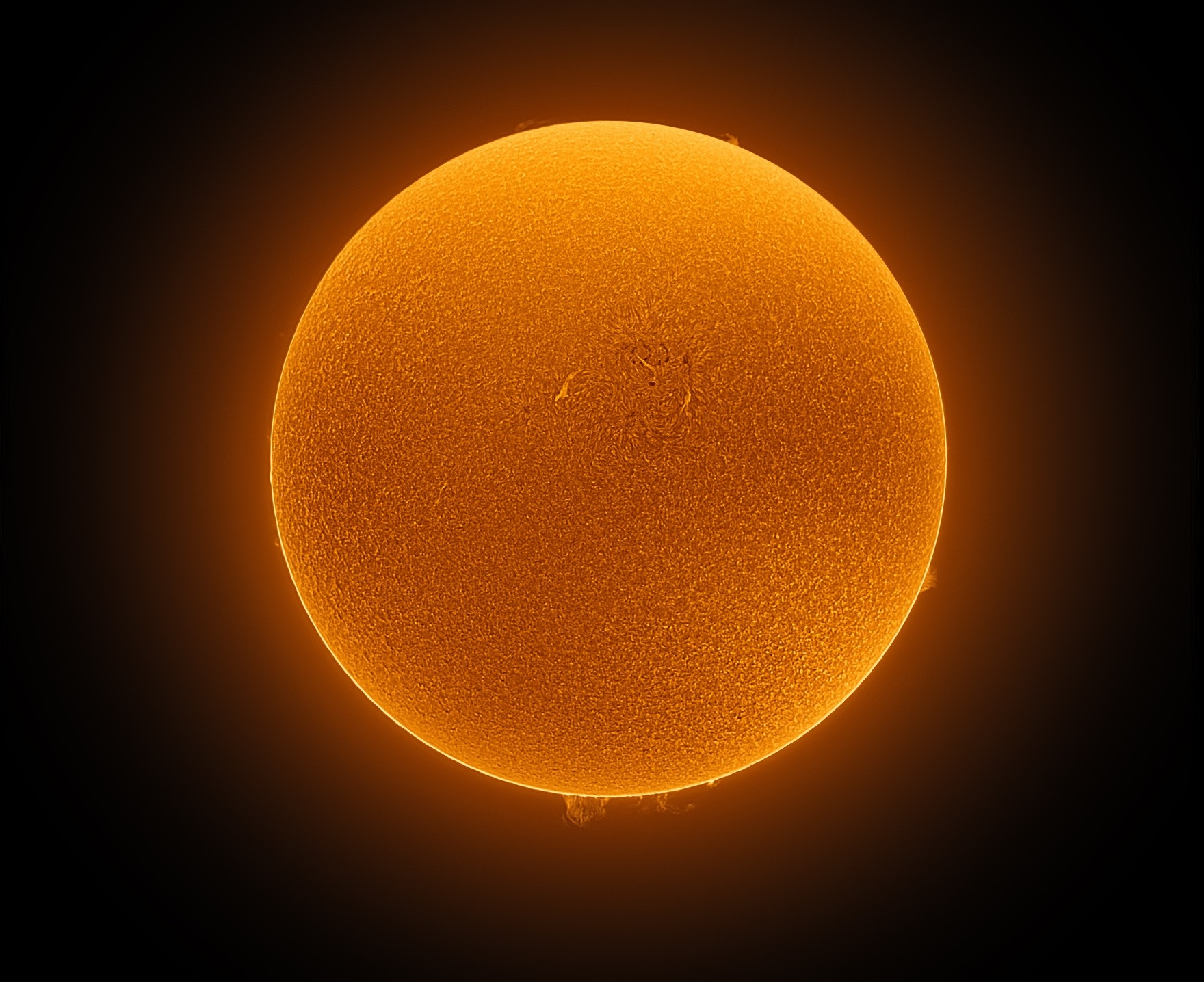 Επίσκεψη του Δημοτικού Σχολείου Αγιόφυλλου