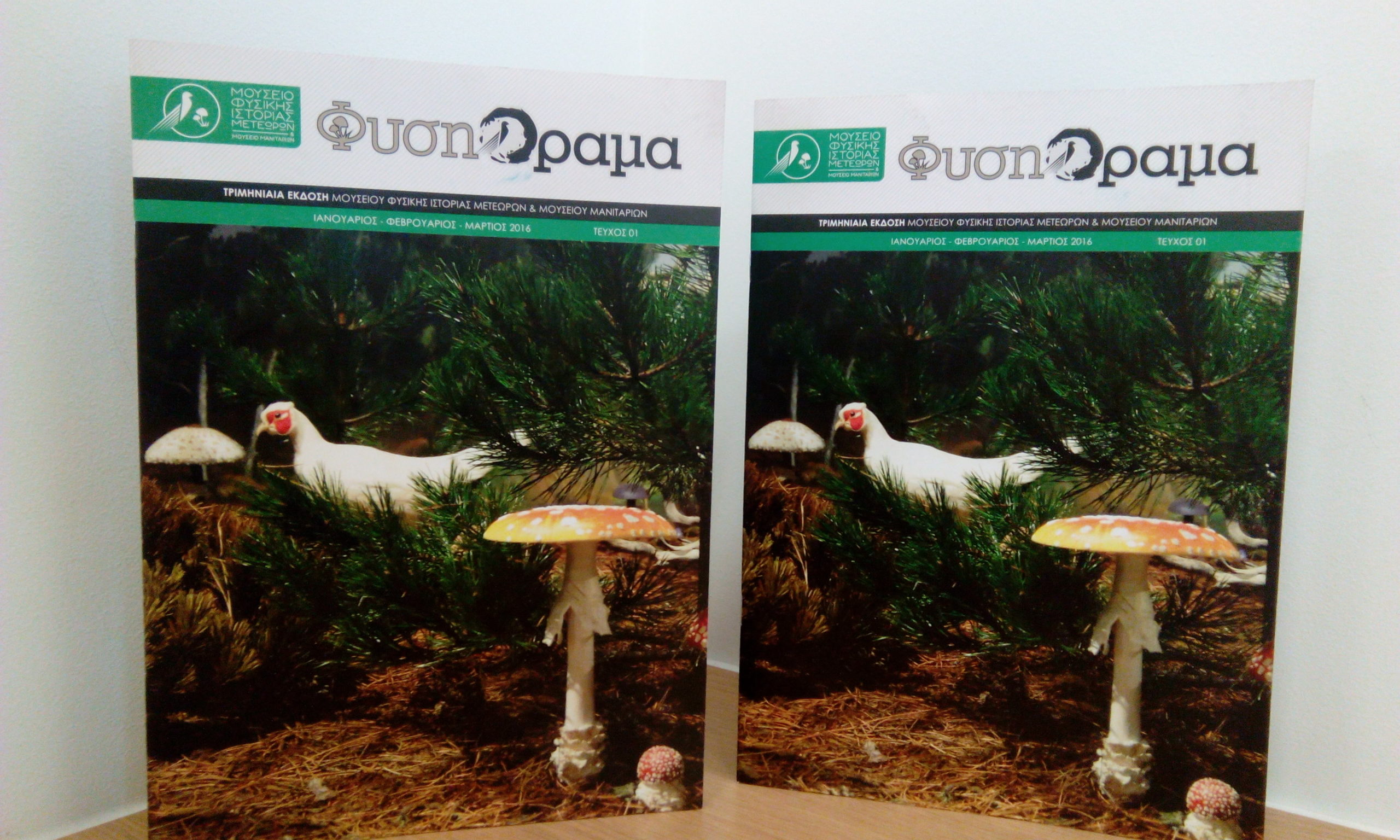 to triminiaio periodiko fysi orama diathesimo sti bibliothiki 2016 01 22 1