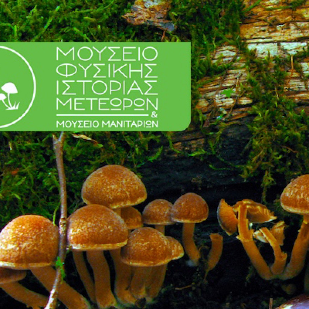 i bibliothiki episkeptetai to moyseio fysikis istorias 2016 04 15 1