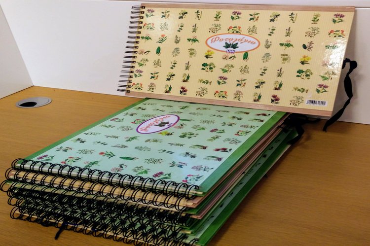 to fytologio tis anoixis 2017 03 10 1