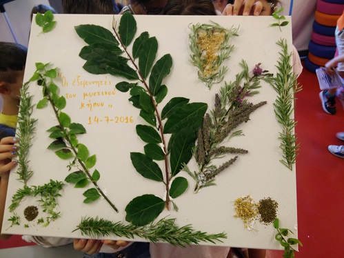 diaforetika mpacharika kai aromatika botana 2016 07 15 1