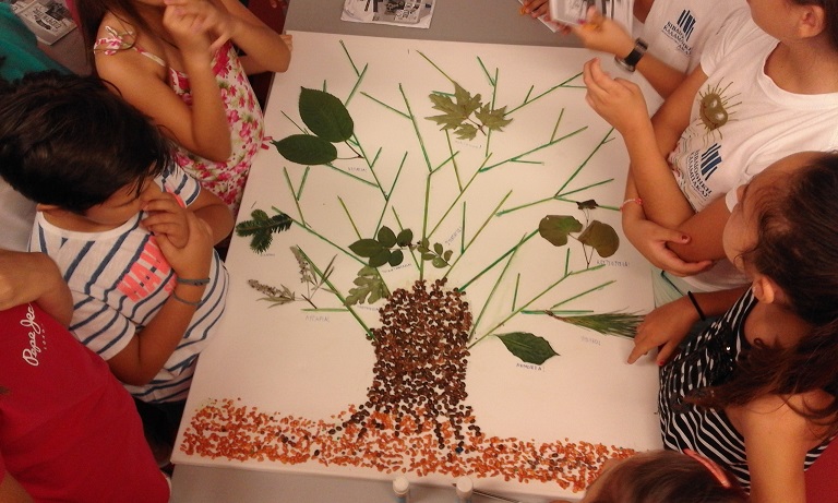 diaforetika eidi fyllon 2016 07 06 1