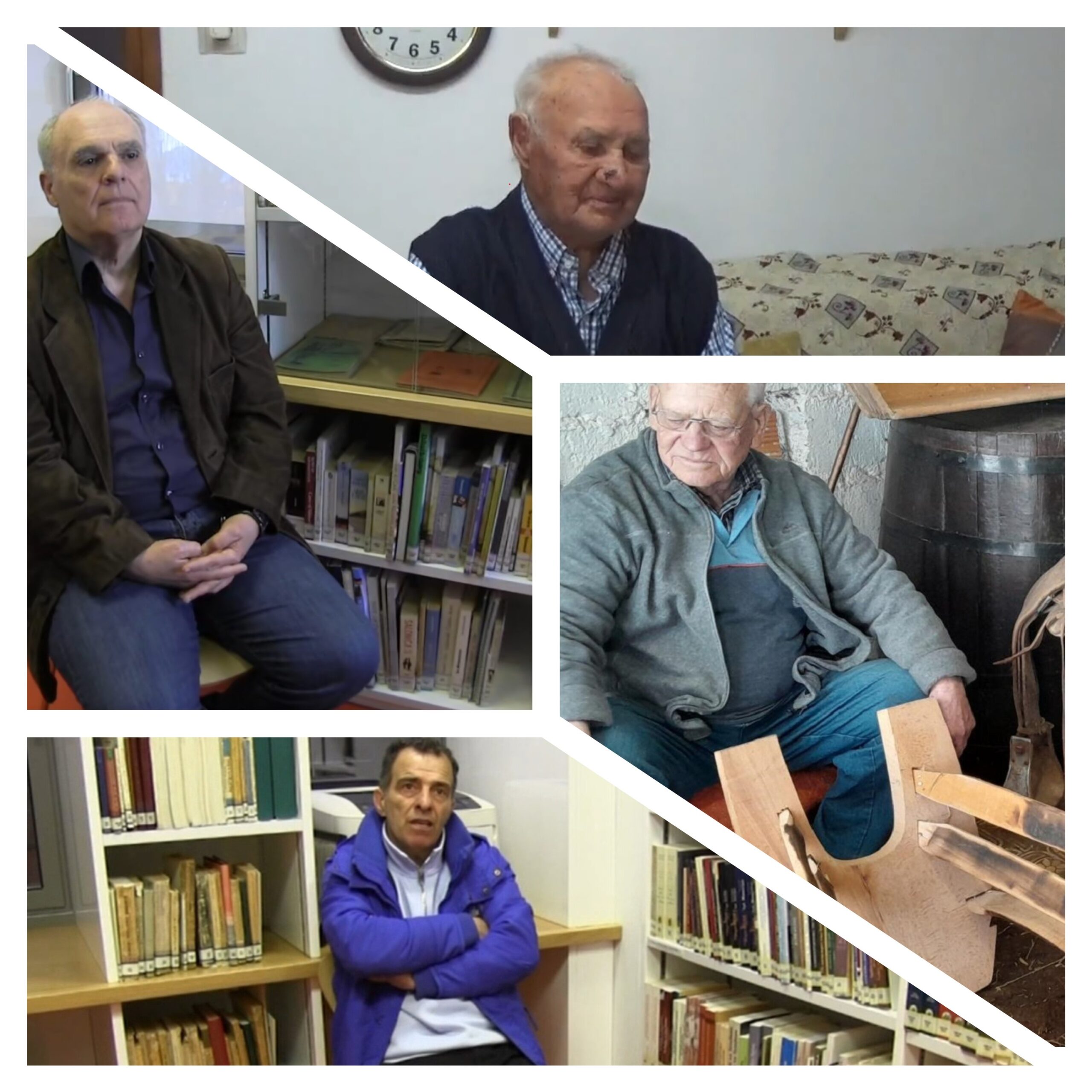 MixCollage 20 Dec 2024 11 53 AM 7937