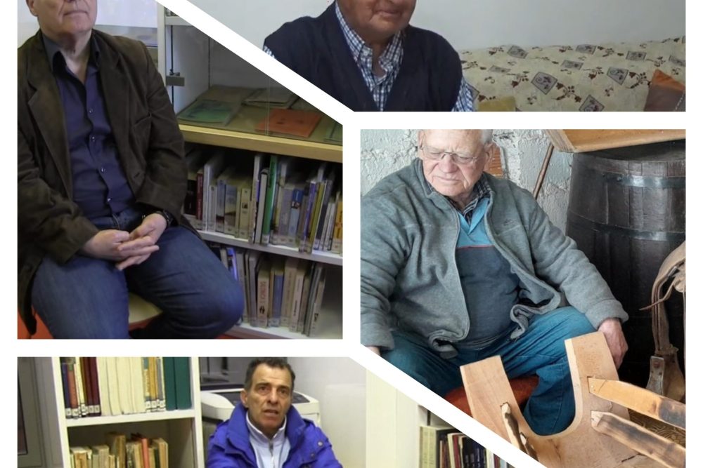 MixCollage 20 Dec 2024 11 53 AM 7937