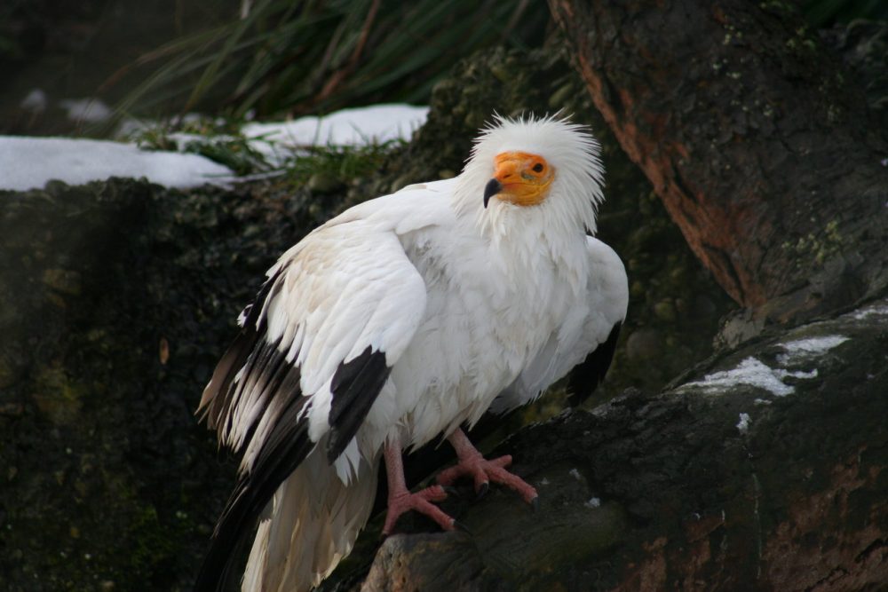 istories gia dilitiriasmena dolomata 2016 04 15 1