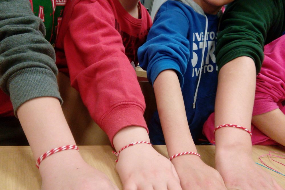 brachiolaki toy marti 2016 03 09 1