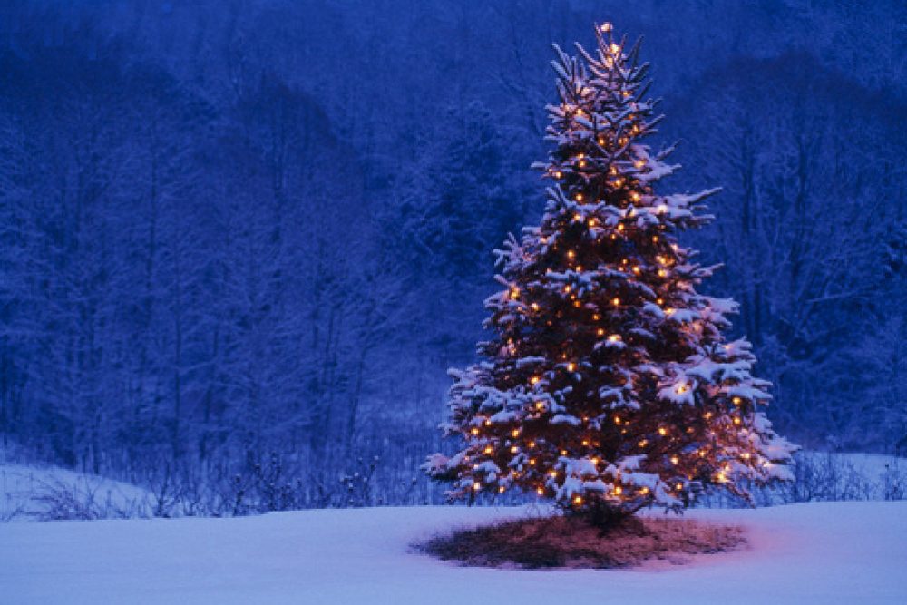 eortastiko orario bibliothikis 2016 12 20 1