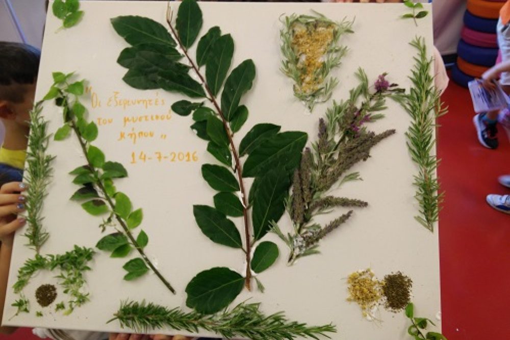 diaforetika mpacharika kai aromatika botana 2016 07 15 1