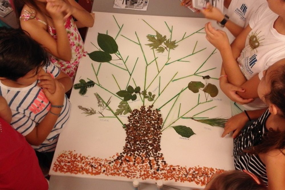 diaforetika eidi fyllon 2016 07 06 1